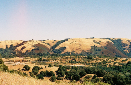 [From a low ridge looking at a flat plain with some dirt roads weaving through the trees. In the background is a low mountain with mostly light groundcovering although it also has some sections of trees.]